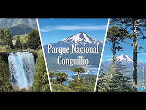 Parque Nacional Conguillío – Guía Completa