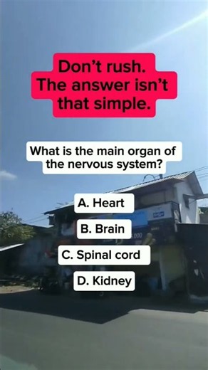 What is the main organ of the nervous system?