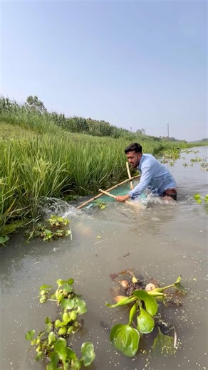 Village Boys Catching Tons of Fish Using Simple Net