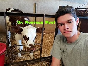 La Séparation du Veau Se Passent Très Bien ! ;-)