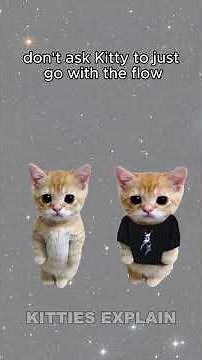 Kitties Explains: Autism. Like if you're not one #cats