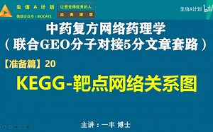 GF20.如何用 cytoscape 绘制KEGG靶点网络关系图？【中药复方网络药理学联合GEO分子对接5分文章套路 生信A计划】