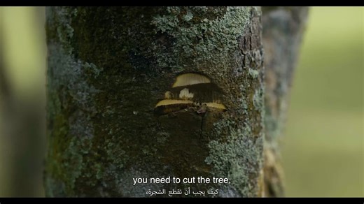 39K views · 8K reactions | Ajmal Perfumes hosts international...