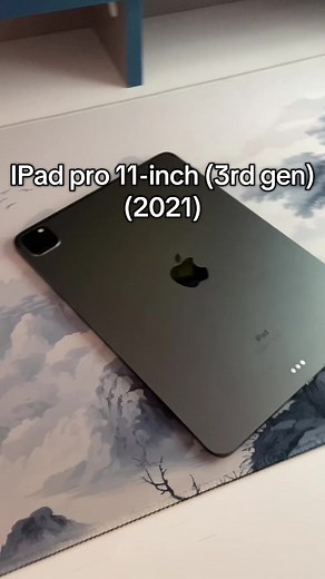 iPad Pro 11