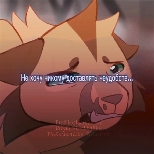 #CROOKEDSTAR #MAPLESHADE #кленовница #метеор #котывоители