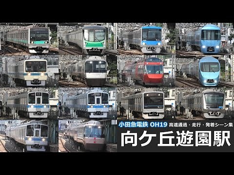 【小田急線向ヶ丘遊園駅 高速通過・走行・発着シーン集】向ヶ丘遊園駅で小田急小田原線車両の高速通過・走行・発着シーンを満喫！！
