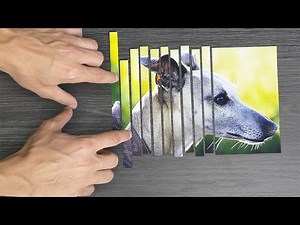 17 experiments you can try at home