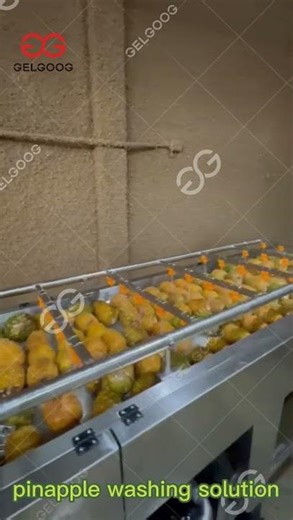 Pineapple Washing Processing Line