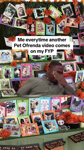 The celebration begins on Oct. 27, when our beloved pets that have passed on return to visit us for 24 hours. Include things like photos of your pet, their favorite toy, maybe their leash or collar, and their favorite treats and food. Have it up for the end of October through early November. #ofrendasdeldiademuertos #diademuertos #petofrenda #dayofthedead #petparents #diademuertosperritos