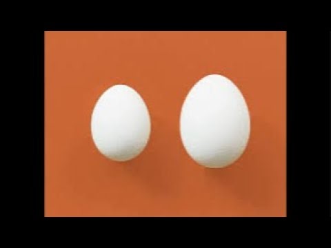 Game: remove shell raw eggs 🥚