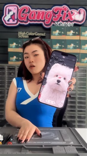 Gangfix | iPhone 15Promax LCD screen replacement #mobilerepair #kaikulcd #fypシ #fyp #asmr #satisfying #satisfação #lcd #iphone | Instagram