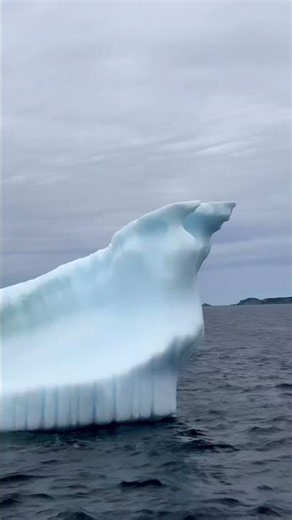 POV: you finally see an iceberg in real life 🧊🌊
