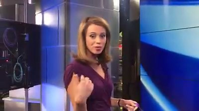 93K views · 1.1K reactions | Cheryl Scott has an adorable helper for the weather tonight! The good news is that the forecast is great for people and dogs alike. | ABC 7 Chicago | Facebook