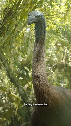 She loves a short king. #PrehistoricPlanetIceAge