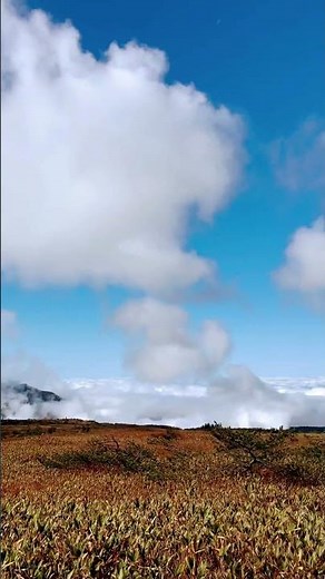 秋の立山、弥陀ヶ原(歩くアルペンルート)