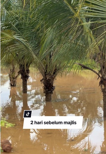 JAFA (@jafa.fam)’s videos with suara asli - Vibes lyrics only🥀 - HairLuxLab Official Store