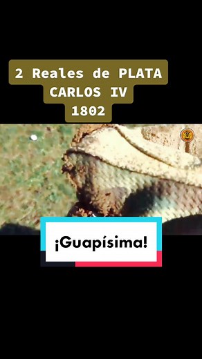 #metaldetector #metaldetecting #detectordemetales #detectandolahistoria #buscandotesoros #oro #plata #detectorkings #tesoros #antigüedades #coleccion #españa #imperioespañol #reales #parati