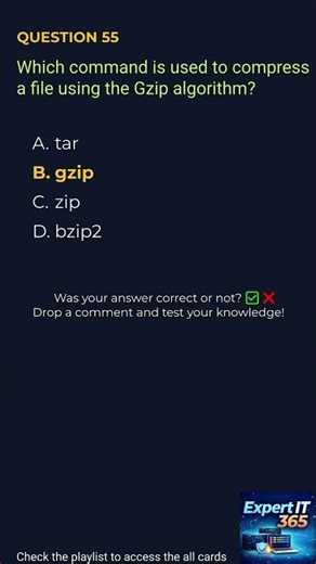 Compressing Files in Linux 🗜️