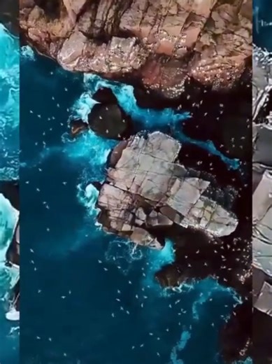 Protecting Nature: Tips for Everyone