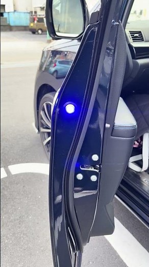 アヴァンツァーレ ドアワーニングフラッシュLED ブルー 点灯(昼間) E52 エルグランド