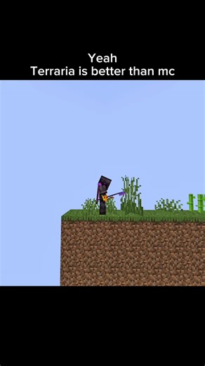 Who even plays teraria #minecraft #terraria #gaming #foryou #fyp | minecraft
