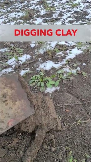 River Ouse Clay and Mussel Shells