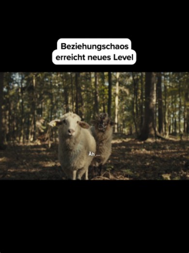 Sheep Serie mit Merlin Sandmeyer & Jella Haase – jetzt im ZDF