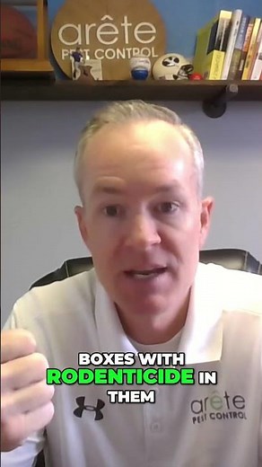 How to Keep Mice Out of Your Home | Arete Pest Control