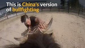 Fighters mix kung fu & bullfighting in China