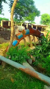 Persian Wheels Revolutionizing Irrigation in Pre-Modern Punjab The Persian Wheel, or Rehat, played a crucial role in transforming agriculture in pre-modern Punjab. Introduced centuries ago, this ingenious water-lifting device used a system of gears and buckets to draw water from wells, ensuring a steady supply for crops. Powered by bullocks or camels, the Persian Wheel allowed farmers to irrigate vast fields, boosting productivity and sustaining rural communities. This innovation not only shaped