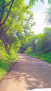 Sagareshwar Wild Life sanctuary 😍 💫🤗 #mayashreemali #travelgirl #facebookreels #junglesafari #wildlife #wildlifesanctuary | Mayashree