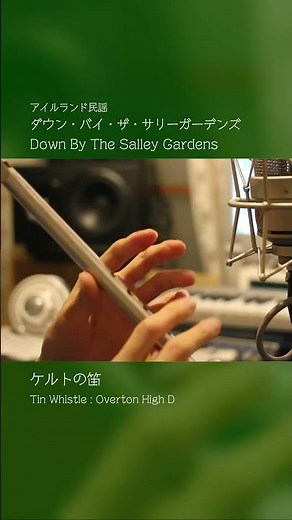 Down By The Salley Gardens - Irish Traditional - Tin Whistle