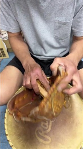 Live Highlights Ishihara Sports #shorts