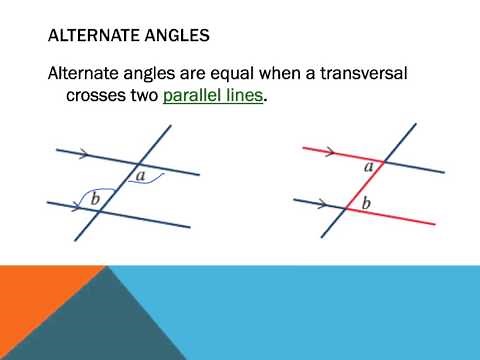 Year 8: Angles and parallel lines