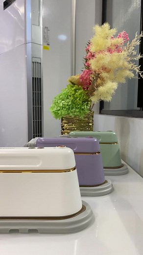 Daewoo Handheld Ironing Machine for Professional Wrinkle Removal