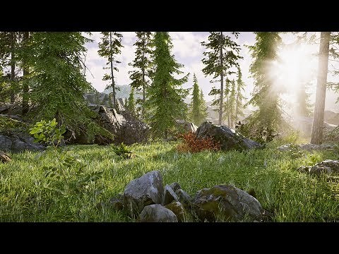 Unity 3d - Forest Environment Level Demo