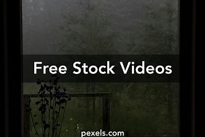 Rain With Nature Videos, Download The BEST Free 4k Stock Video Footage & Rain With Nature HD Video Clips