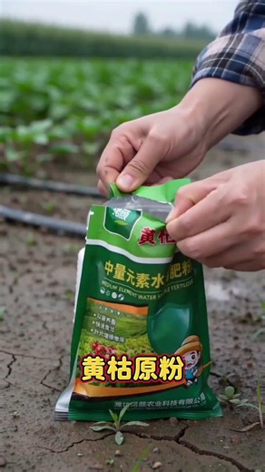 Don't panic if your vegetable leaves are turning yellow or curling! #gardeningtips #vegetables
