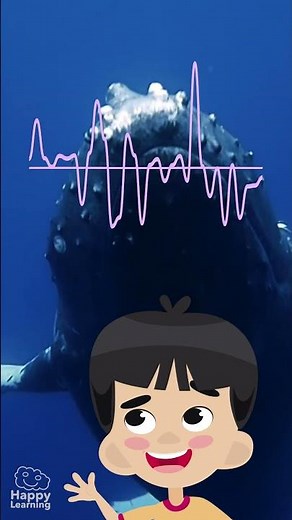 🐋 Did you know the human ear can't hear everything? | Educational Videos | @HappyLearningES