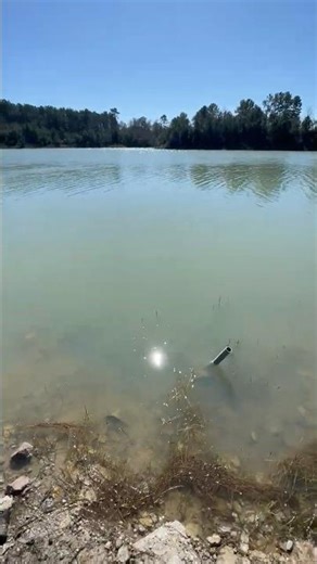 Sweet cliff hike spot by river