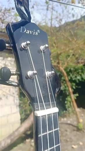 Ukulele Soprano 4 Strings #ukaleleguitar #ukalele