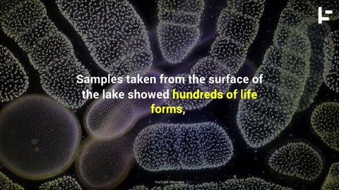 Are We About to Discover Thousands of Alien Life Forms?