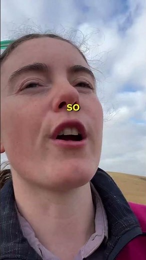 Seeing more content now? Here's why