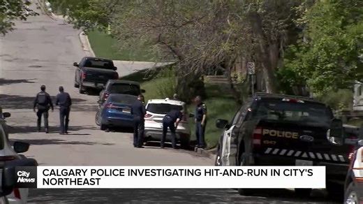 Calgary police investigating hit-and-run in city's northeast