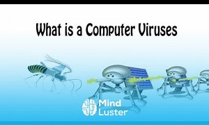 Mind Luster - Learn How do viruses work What is a Computer Virus Technical adan