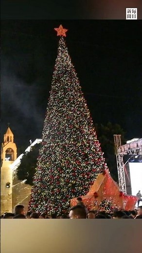#Christmas tree #lit for the first time in 3 years #Birthplace of Christ, #Bethlehem #Mainichi Sh...