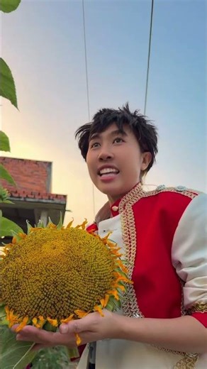 SUNFLOWER #haibadane #shorts