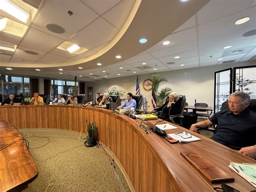 Hawaiʻi Island police commission narrows down 8 finalists for police chief