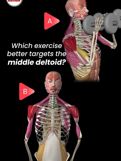 Middle Deltoid Targeting: Upright Rows vs. Close Grip Overhead Press