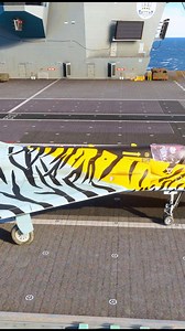 Mirage 2000 Takeoff Aircraft Carrier | Survival Gaming King